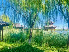 -水西公园