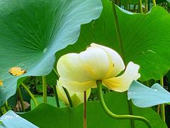 -北京动物园-畅观楼