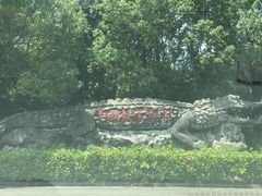 -中国扬子鳄村