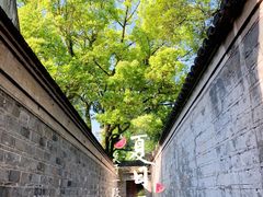 -天一阁博物院