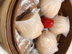 金牌虾饺皇-点红点绿茗点居(客村店)