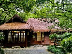 -中国茶叶博物馆(双峰馆区)