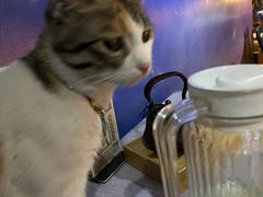 -后海16号·北京私房菜