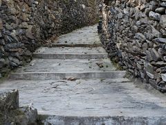 -南窖乡水峪村山情农家