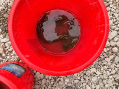 -彭大姐老店黄辣丁(新津店)