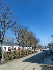 -优沃得自然教育农场·冰雪乐园·生日会·研学