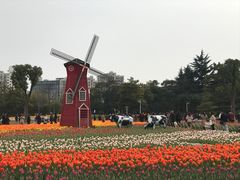 -大宁灵石公园西门票处