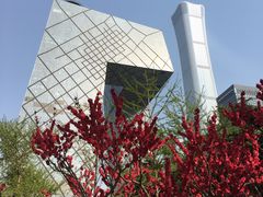 -中央广播电视总台(光华路办公区)