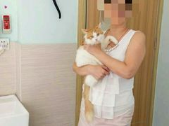 android_upload_pic-立德动物医院·异宠·CT·鹦鹉(天河店)