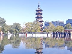 -龙华素斋(龙华路店)