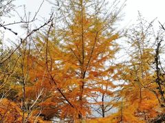 -崂山巨峰游览区
