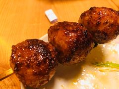 鸡肉丸子-鳥禾(天津店)