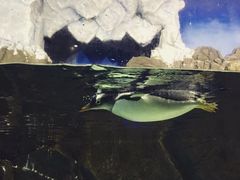 -成都浩海立方海洋公园