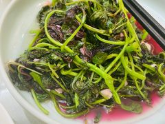 -洞庭家宴·头牌甲鱼(广渠门店)