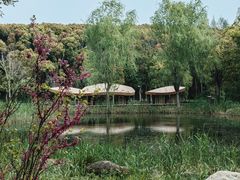 -同里国家湿地公园
