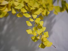 -木渎影视城