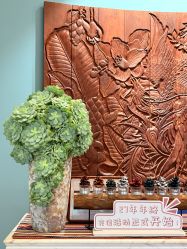 -娇玫荟SPA