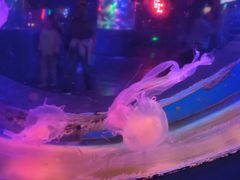 -太平洋海底世界