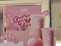 -树夏(成都招商大魔方店)