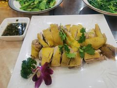 白切文昌鸡-墨脱石锅椰子鸡•香草鸭•东山羊(大东海店)