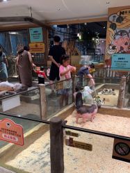 -造物庄园 萌宠纪(苏州湾歌林公园店)