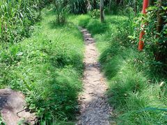 -黄埔油麻山森林公园