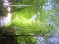 -故乡缘·香格里拉山庄(冷竹路店)