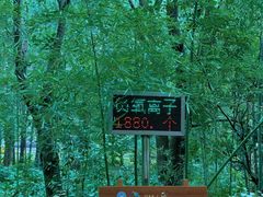 -同里国家湿地公园