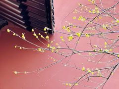 -钱王祠
