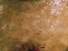 -碧水湾温泉