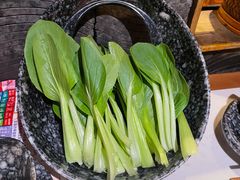 鸡毛菜-新哥老官·畅吃123·美蛙世界(苏宁广场店)