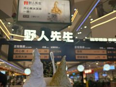 -野人先生Gelato(上海长宁龙之梦店)