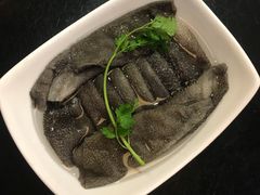 -蜀九香火锅(九眼桥店)