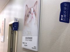-爱佳宠物中心医院24H·CT·骨外科·猫专科(瑶海万达店)