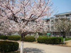-湖北中医药大学(昙华林校区)