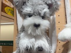 -美罗城