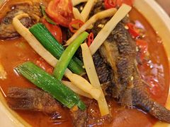 -椿记烧鹅(叠彩店)