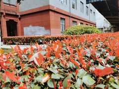 -四川大学(望江校区)