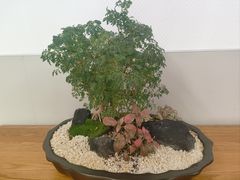 -厦门市图书馆(集美新城馆区)