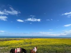 -青海湖国家重点风景名胜区