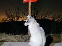 -鬼笑石后山停车场