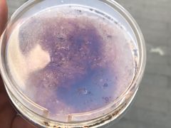 -九秋茶铺(三里屯店)