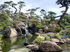 -罗红摄影艺术馆