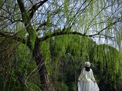 -尚贤河湿地