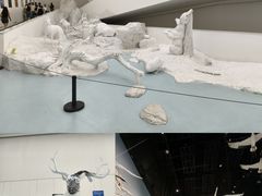 -中国湿地博物馆