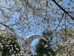 -杭州少年儿童公园