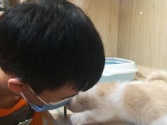 -屋虎猫馆(宝安大仟里店)
