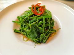 炝拌龙须菜-绿茶餐厅(龙井船宴· 品牌总店)