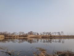 -盘龙城国家考古遗址公园