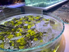 -聚盛源蒸汽海鲜火锅烤肉自助(巨川金海岸购物广场店)